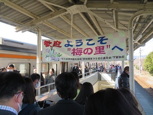 曽我梅林 梅の里.jpg