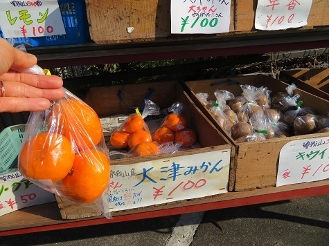 曽我梅林 無人販売があったのでみかんを購入.jpg