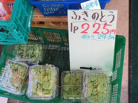 曽我梅林 自分で採って来ればタダですが・・・本日春を感じたいのでお買い上げ.jpg