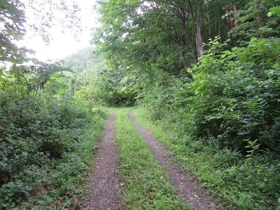 燧岳 登山口から7分後.jpg