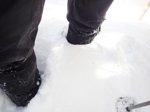 甲武信29 ここからは急に膝下まで雪に埋まる.jpg