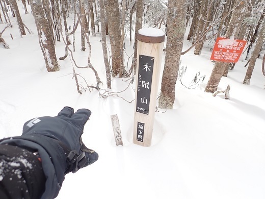 甲武信29 木賊山山頂 積雪はまだまだ序の口でした.jpg