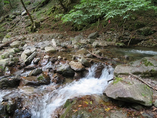甲武信32 峠沢の渡渉.jpg