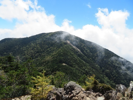 甲武信32 木賊山を望む.jpg