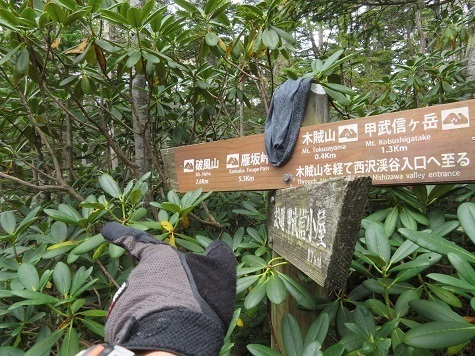 甲武信32 破風山へ.jpg