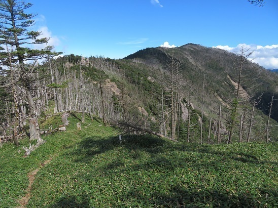 甲武信32 雁坂嶺が見えた.jpg
