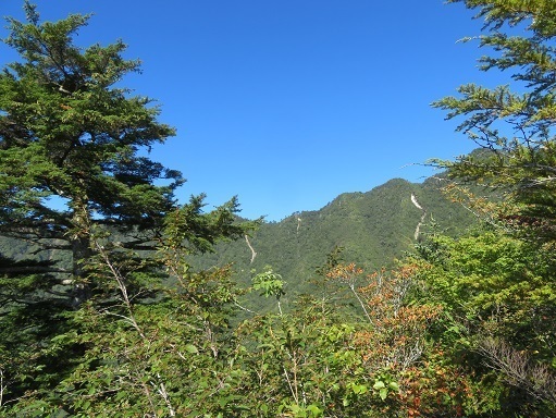 甲武信32 雲が抜け鶏冠尾根.jpg