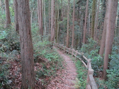 筑波連 あとは岩瀬駅へ.jpg