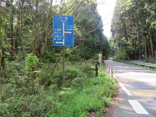筑波連 この車道を上曽峠へ.jpg