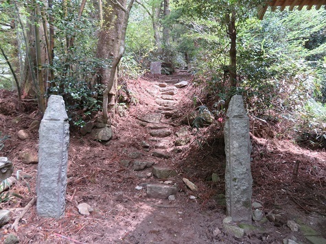 筑波連 ようやく登山道.jpg