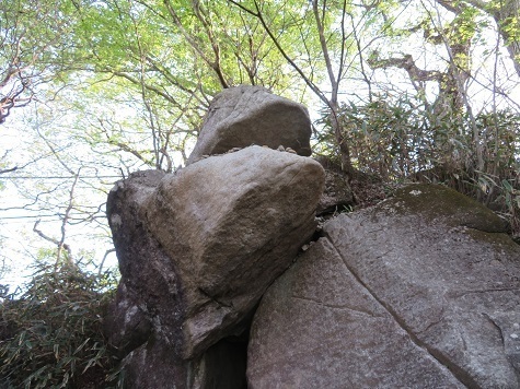 筑波連 ガマ石.jpg