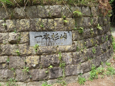 筑波連 一本杉峠.jpg