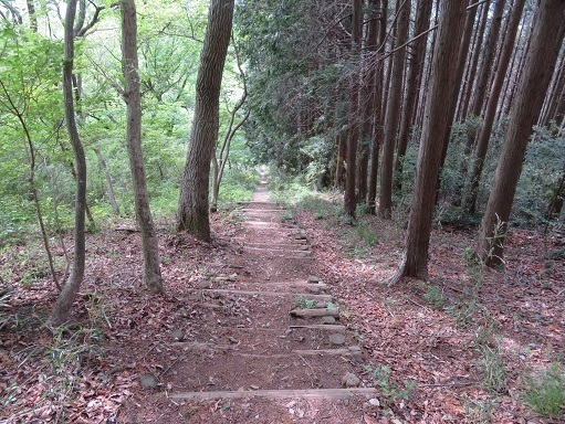 筑波連 一気に標高下.jpg
