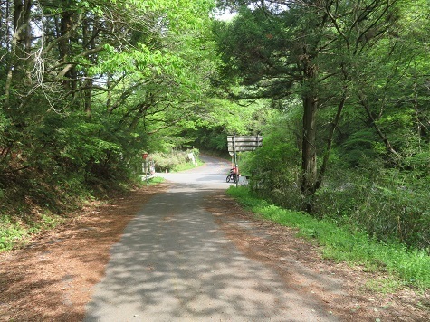 筑波連 上曽峠 できのこ山へ.jpg