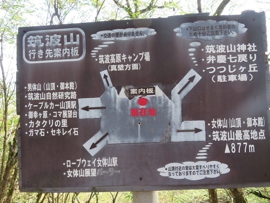 筑波連 先のルートを確認.jpg