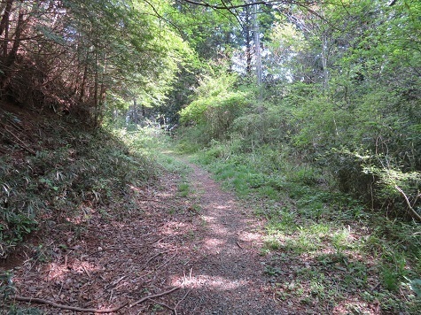 筑波連 地図記載の林道に.jpg