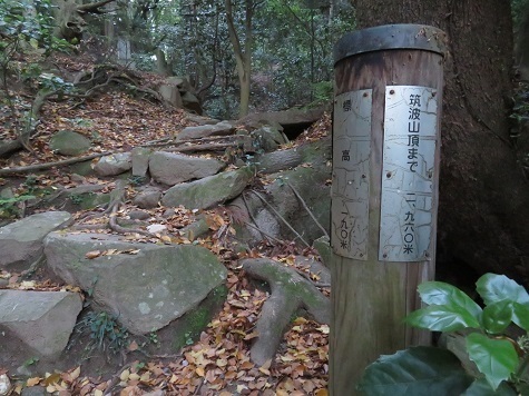 筑波連 墓地横から山道.jpg