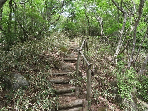 筑波連 急登.jpg