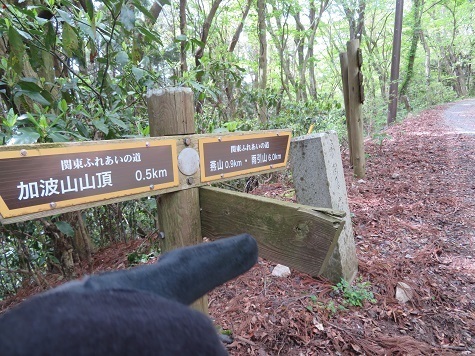 筑波連 次燕山へ.jpg
