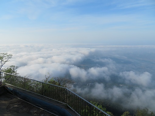 筑波連 男体山頂からの雲海.jpg