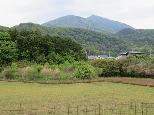 筑波連 筑波連山 ロングでした.jpg