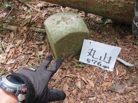 筑波連 経由 丸山.jpg