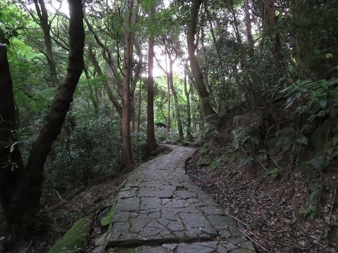 筑波連 道は.jpg