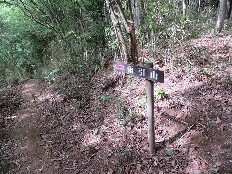 筑波連 雨引山へ向.jpg