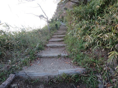 粟ヶ岳 さあ 登山道は整備済.jpg