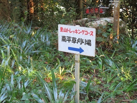 粟ヶ岳 南平草って何?.jpg