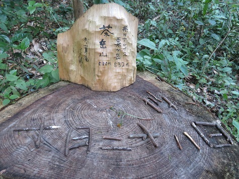 粟ヶ岳 麓のお姉さまに教えてもらった木の日付.jpg