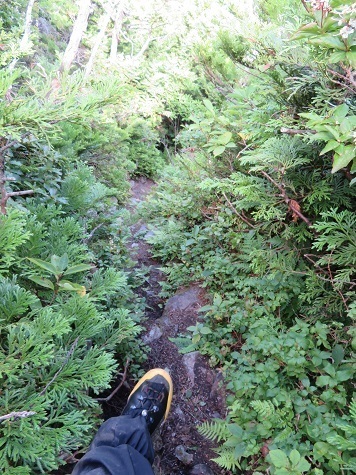 縫道石 さあ下山.jpg