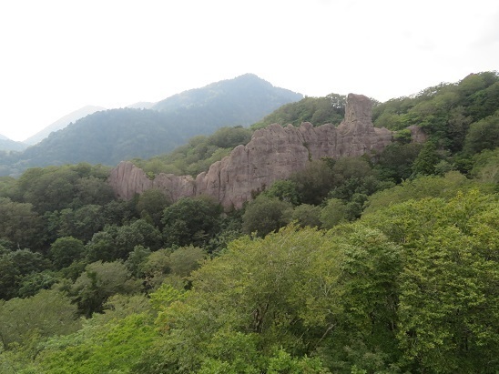 縫道石 さっきのじじ岩を.jpg