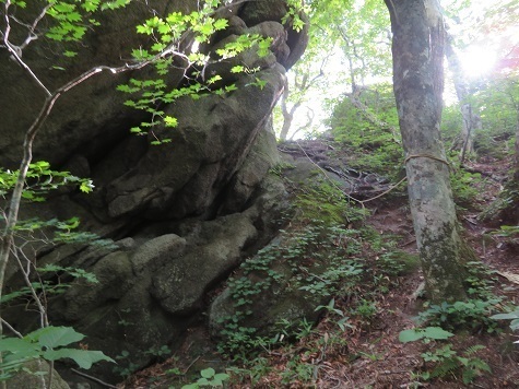 縫道石 ばば岩へ.jpg