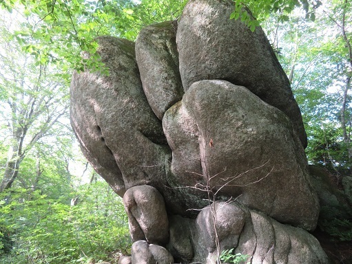縫道石 ゲンコツ岩.jpg
