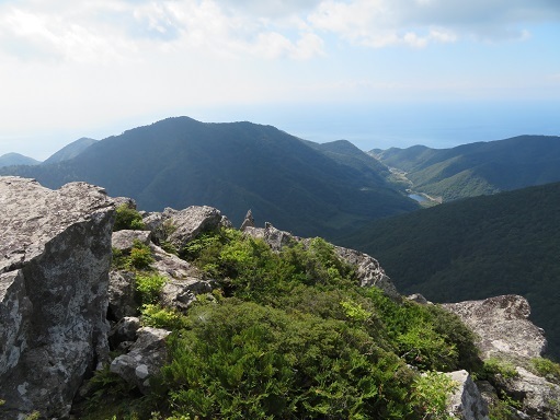 縫道石 八柄間山.jpg
