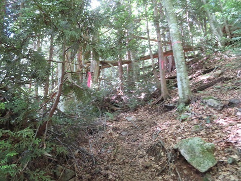 縫道石山 マークもバッチリ.jpg