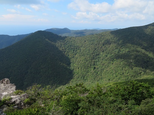 縫道石山 丸山.jpg