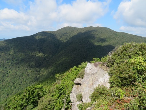 縫道石山 大作山.jpg