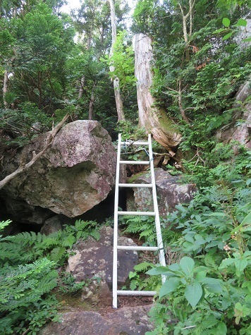 縫道石山 脚立の設置.jpg