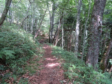 縫道石山 道はしっかりと.jpg