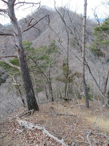 花咲菊花御前 ようやく目の前に花咲山が.jpg