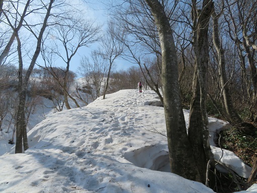 越後白山 しっかりとした雪.jpg