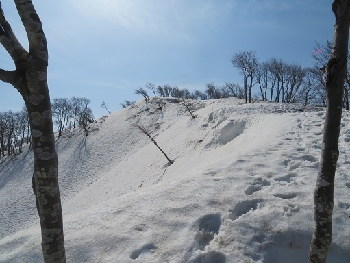越後白山 もうすぐ頂.jpg