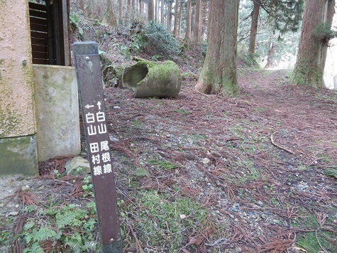 越後白山 往路は尾根線.jpg