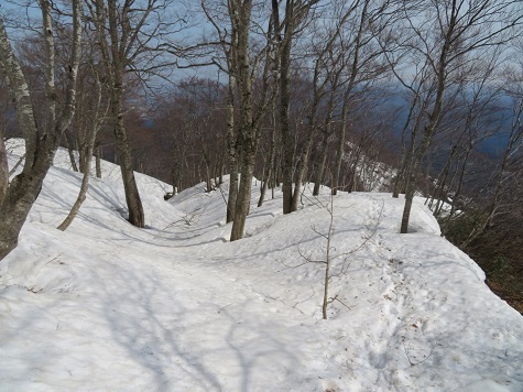 越後白山 道はしっかり.jpg