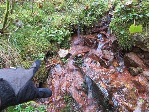 越百駒 上の水場 枯れません.jpg
