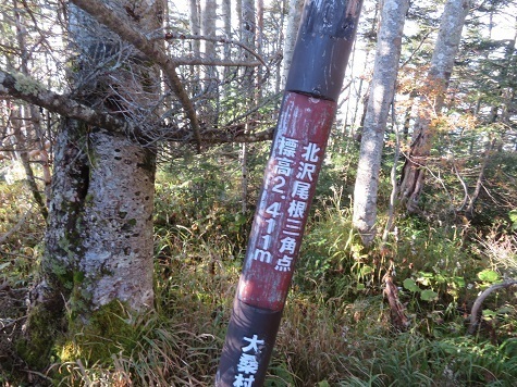越百駒 北沢尾根は長い.jpg