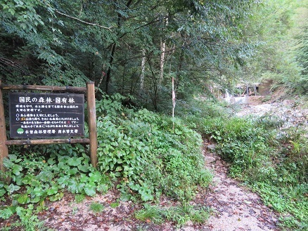 越百駒 越百山登山口.jpg