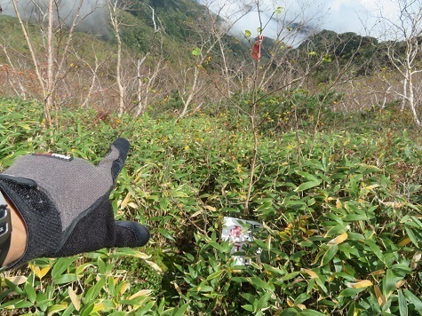 越百駒 飯島側登山道は自然化.jpg